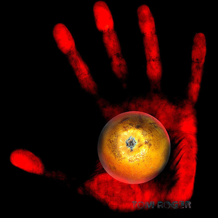 Hand Apfel Fotomontage Tom Roger signiert